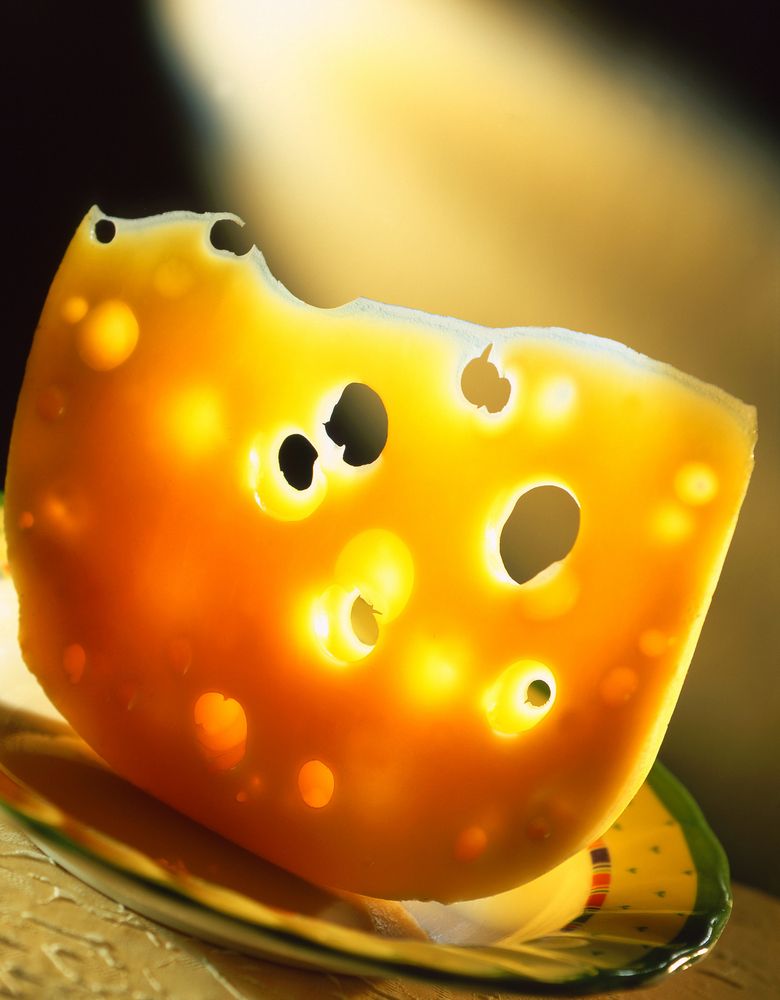 The Secret to Swiss Cheese Holes: Bacteria, Not Mice!
